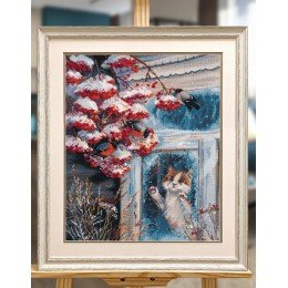 Oven - Miracle behind the window