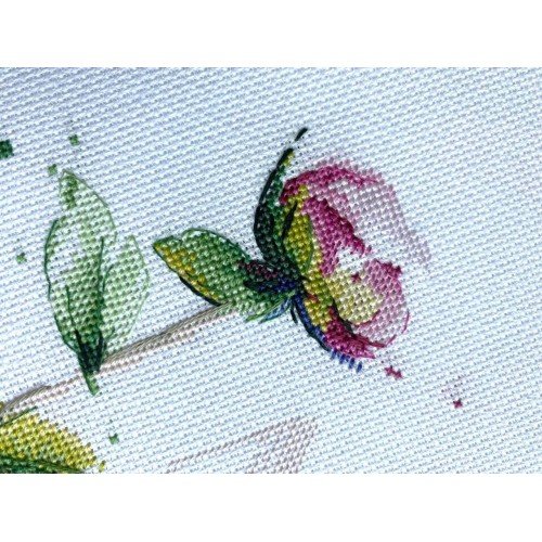 Oven - Peonía elegante