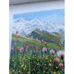 Oven - Flowers in the mountains