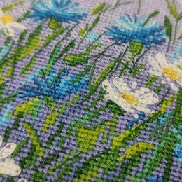 Oven - Cornflower field