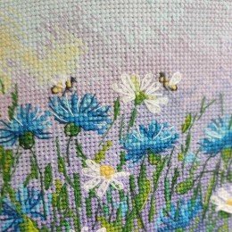 Oven - Cornflower field