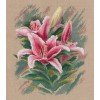 Oven - Lilies