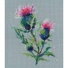 Oven - Thistle