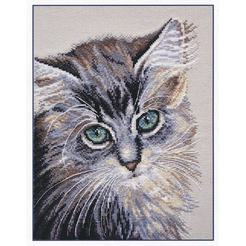 Oven - Green eyed wonder