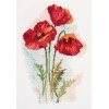 Panna - Watercolour Poppies
