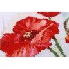 Panna - Watercolour Poppies