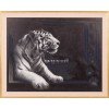 Panna - White Tiger