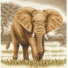 Panna - Giant
