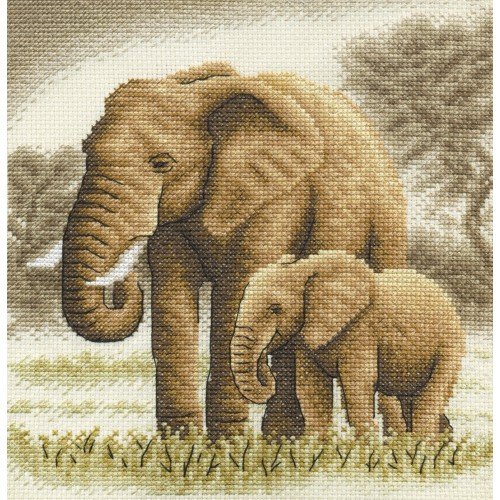 Panna - Elefantes