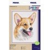 Panna - Welsh Corgi