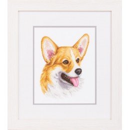 Panna - Welsh Corgi