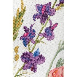 Panna - Poppies and Coneflowers