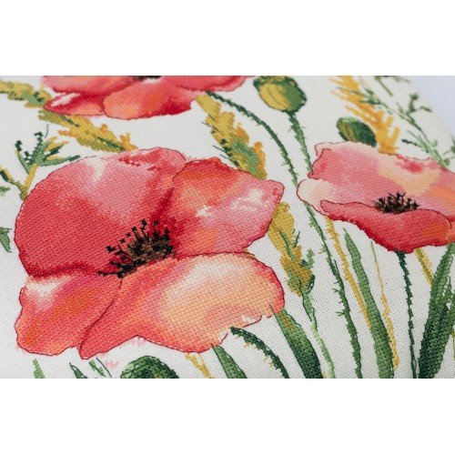 Panna - Scarlet Poppies