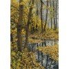Panna - Scenery in Autumn Tones