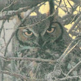 Riolis - Eagle Owl