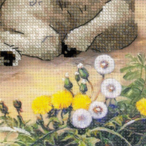 Riolis - Lamb and Rabbit