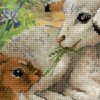 Riolis - Lamb and Rabbit