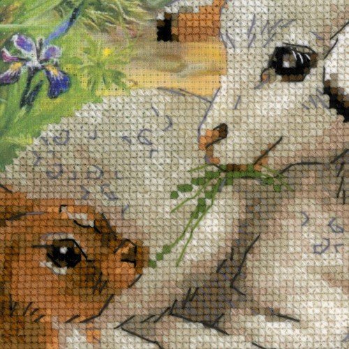 Riolis - Lamb and Rabbit
