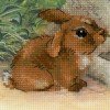 Riolis - Lamb and Rabbit