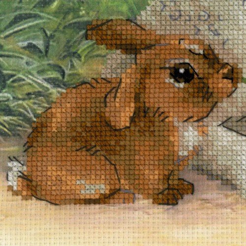 Riolis - Lamb and Rabbit