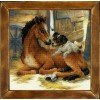 Riolis - Foal and Puppy