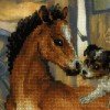 Riolis - Foal and Puppy