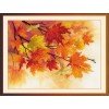 Riolis - Autumn Colors