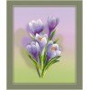 Riolis - Crocuses. Satin Stitch