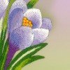 Riolis - Crocuses. Satin Stitch