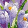 Riolis - Crocuses. Satin Stitch