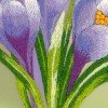 Riolis - Crocuses. Satin Stitch