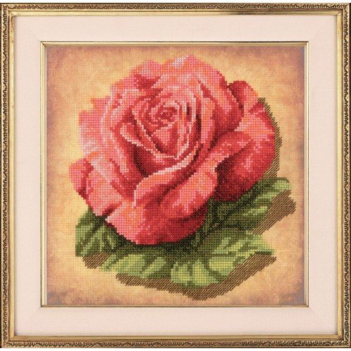 Riolis - Rose