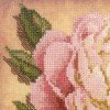 Riolis - Peony