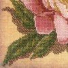 Riolis - Peony