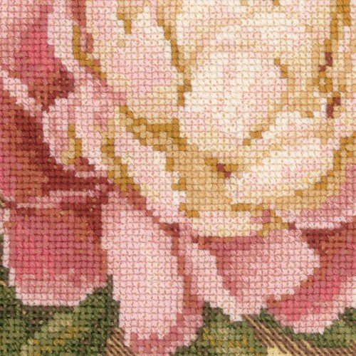 Riolis - Peony