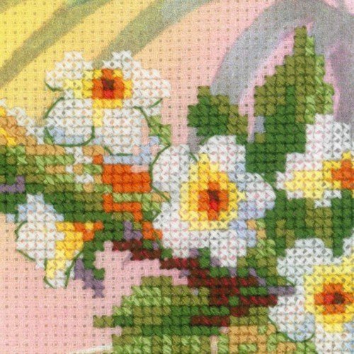Riolis - Toucan