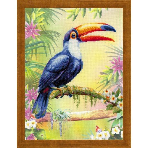 Riolis - Toucan