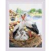 Riolis - Stork Family