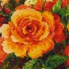 Riolis - Rosas de té