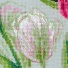 Riolis - Tulipanes de primavera