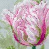 Riolis - Tulipanes de primavera