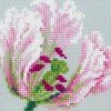 Riolis - Tulipanes de primavera