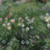 Riolis - Windflowers after J. W. Waterhouse's Painting