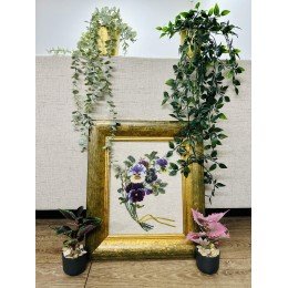 Riolis - Bunch of Pansies