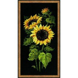 Riolis - Sunflowers