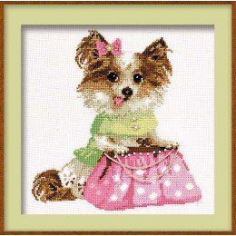 Riolis - Chihuahua