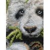 Riolis - Panda con cría