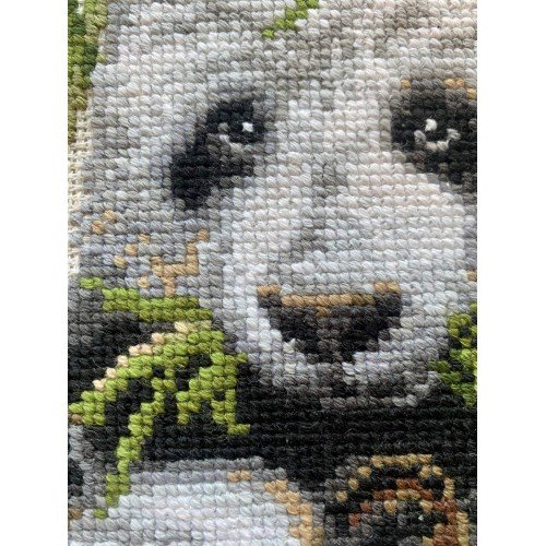 Riolis - Panda con cría