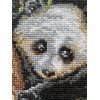 Riolis - Panda con cría