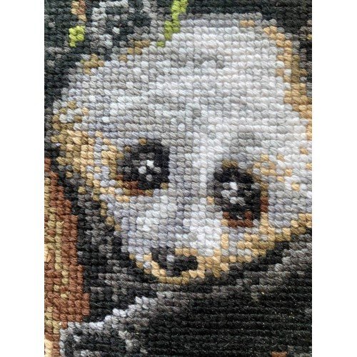 Riolis - Panda con cría